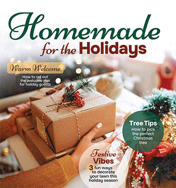 Holiday Special Sections